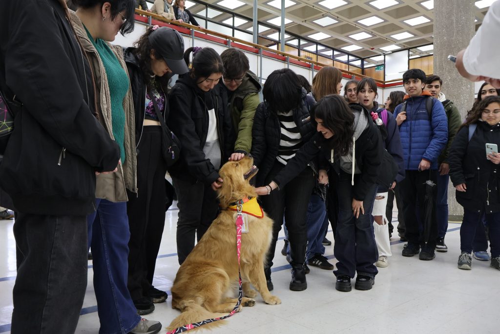 Estudiantes acarician a perro durante sesión de canoterapia en Biblioteca Central