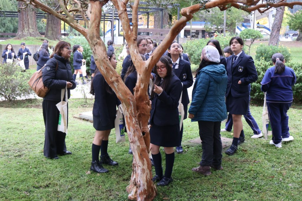 Estudiantes de Escuela Helen Keller observan árbol nativo en campus Concepción de la UdeC