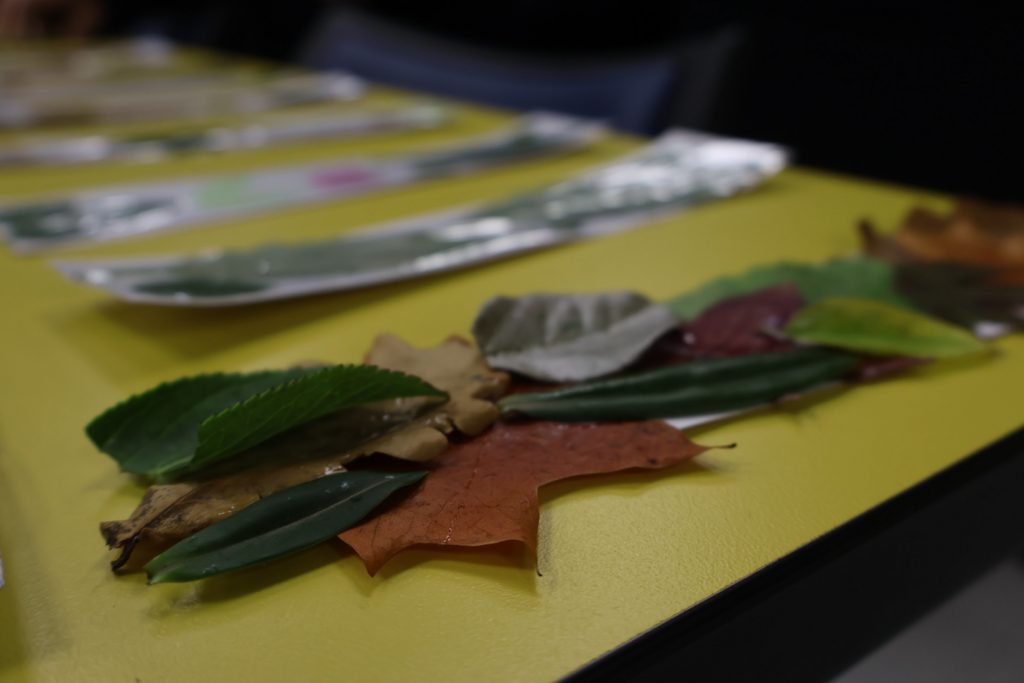 Marcapáginas elaborados por estudiantes sobre mesa de la Biblioteca Central