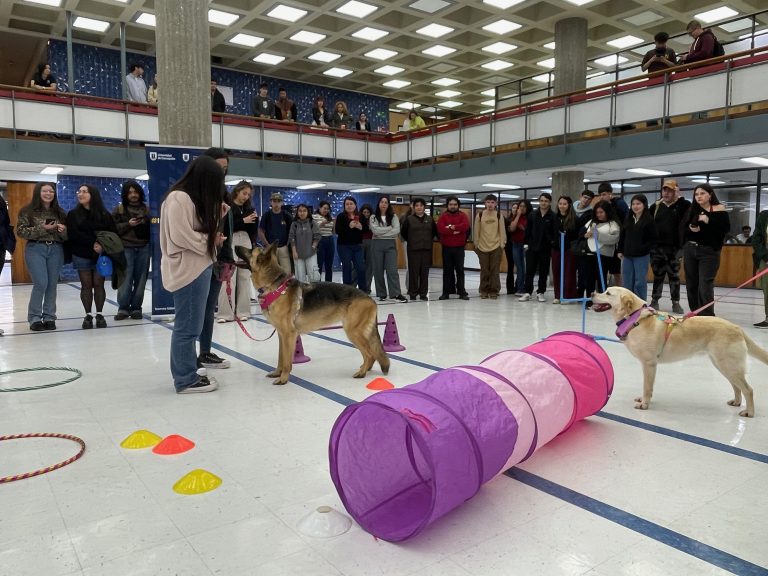 Representante de Canoterapia Concepción dirige a perro durante sesión efectuada en hall de Biblioteca Central UdeC