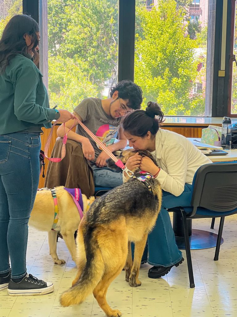 Representante de Canoterapia Concepción dirige a perro durante visita a salas de estudio de la Biblioteca Central UdeC