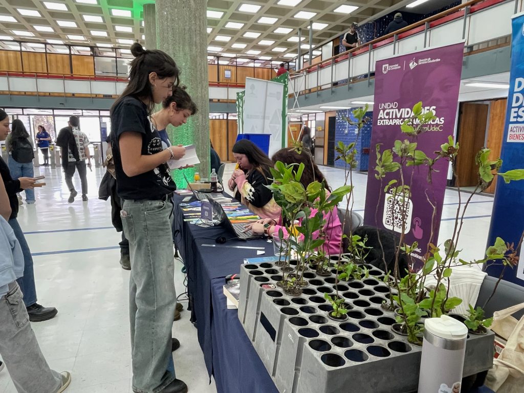 Estudiante retira libro y árbol nativo durante feria de sustentabilidad realizada en hall de Biblioteca Central UdeC