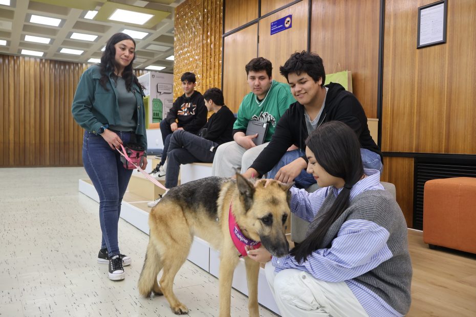 Estudiantes interactúan con perro de terapia en Biblioteca Central UdeC