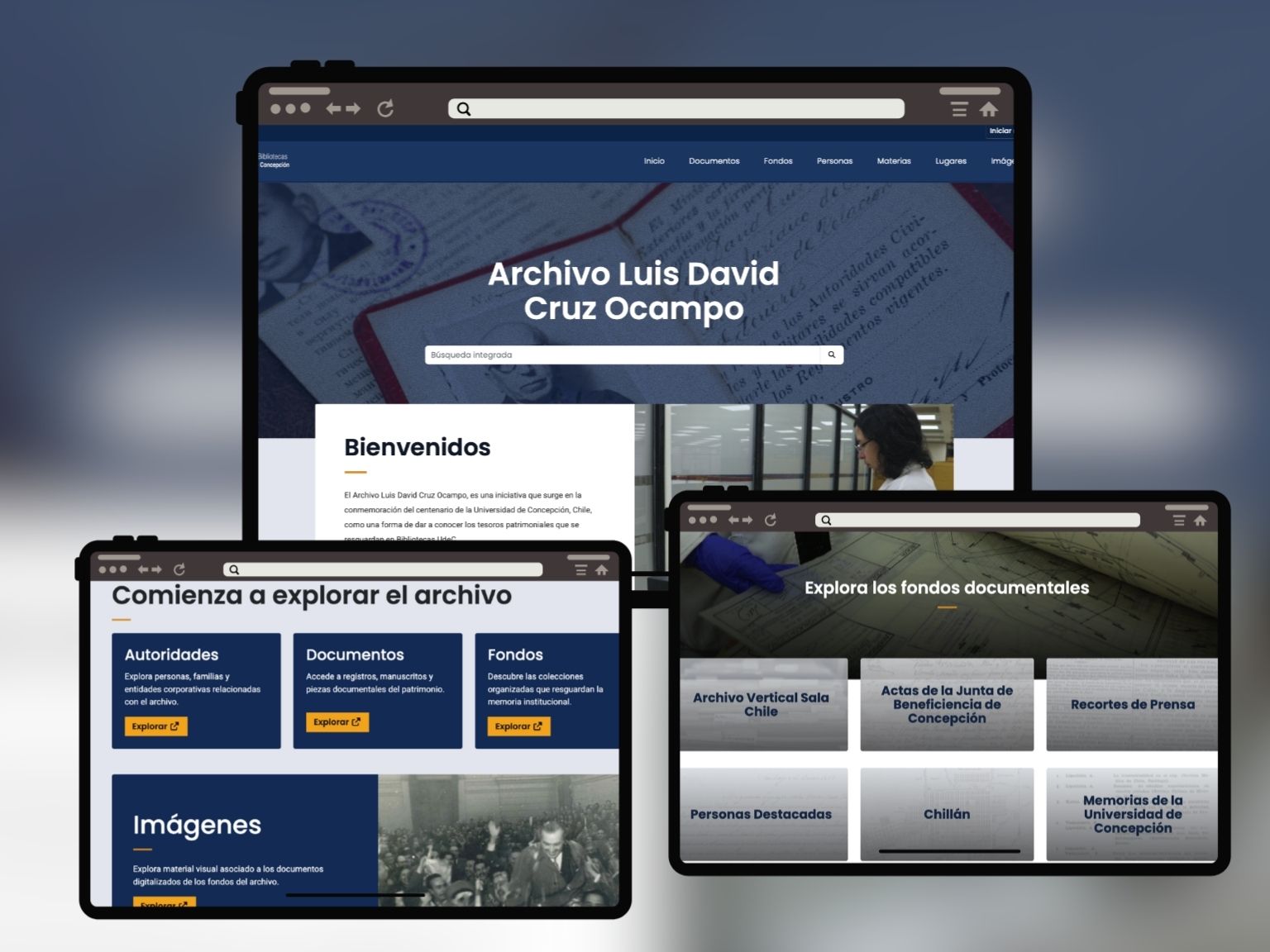 Captura de pantalla que muestra nuevo sitio web de plataforma ALDCO